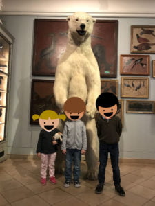 Sortie au musée de la chasse et de la nature 6 musée chasse