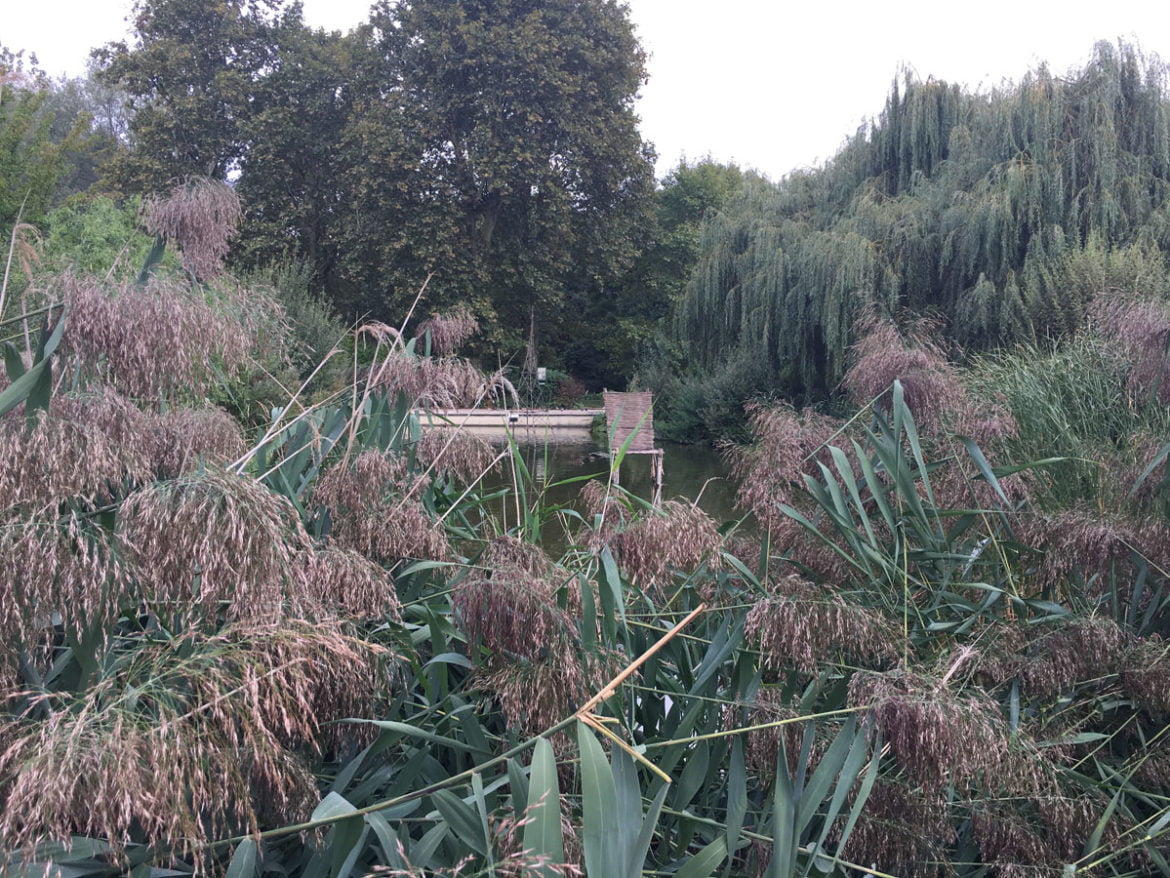 Parc de Bercy, Paris