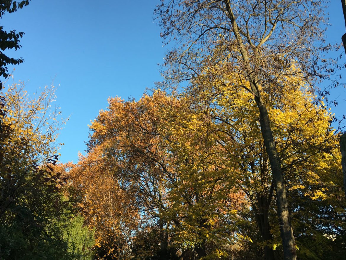 Le mois de novembre de maman de 4 enfants
