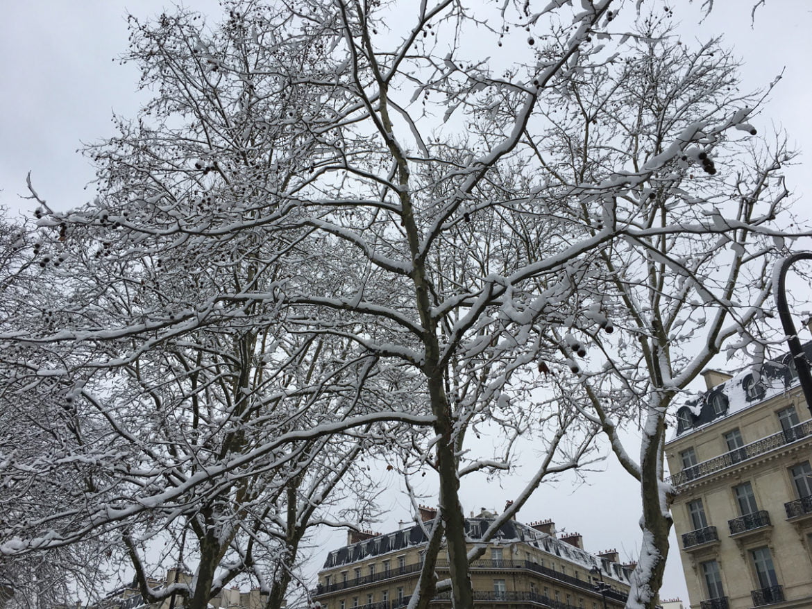 Paris sous la neige