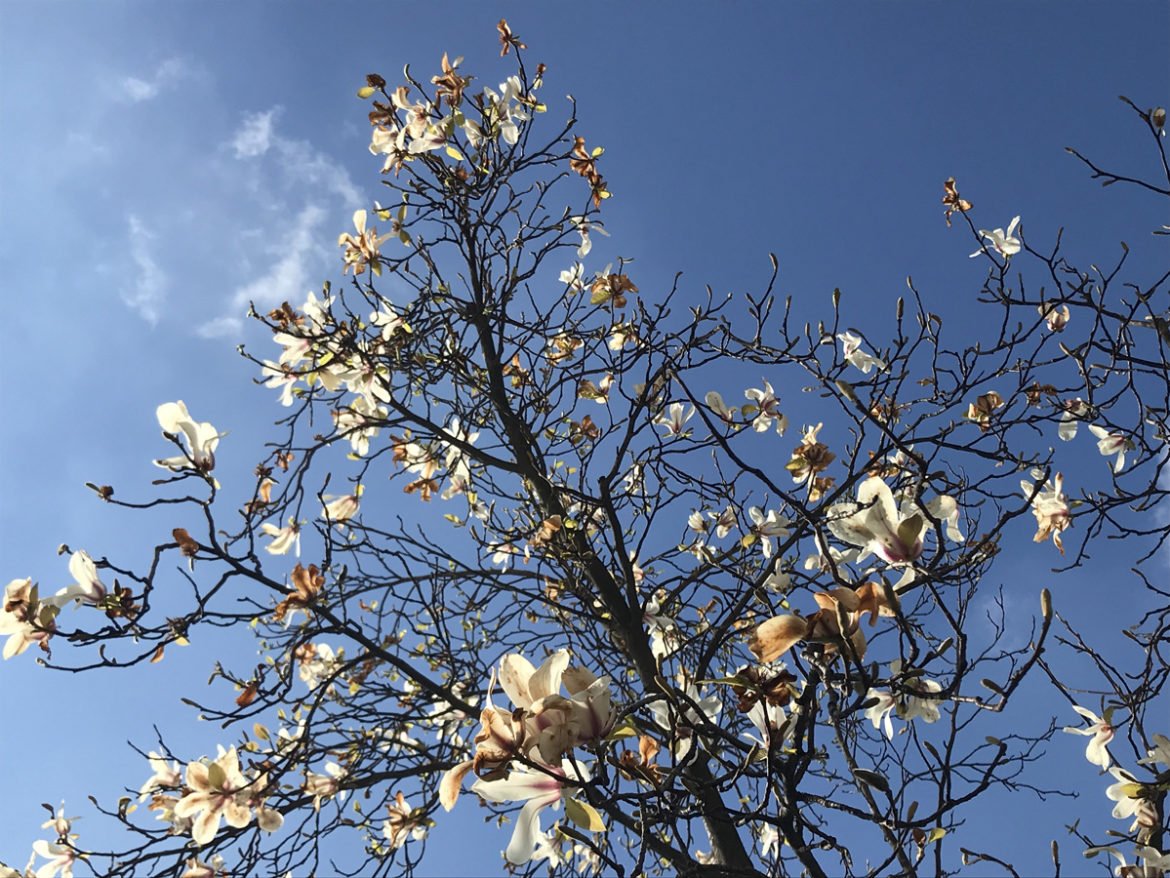 mars et le printemps