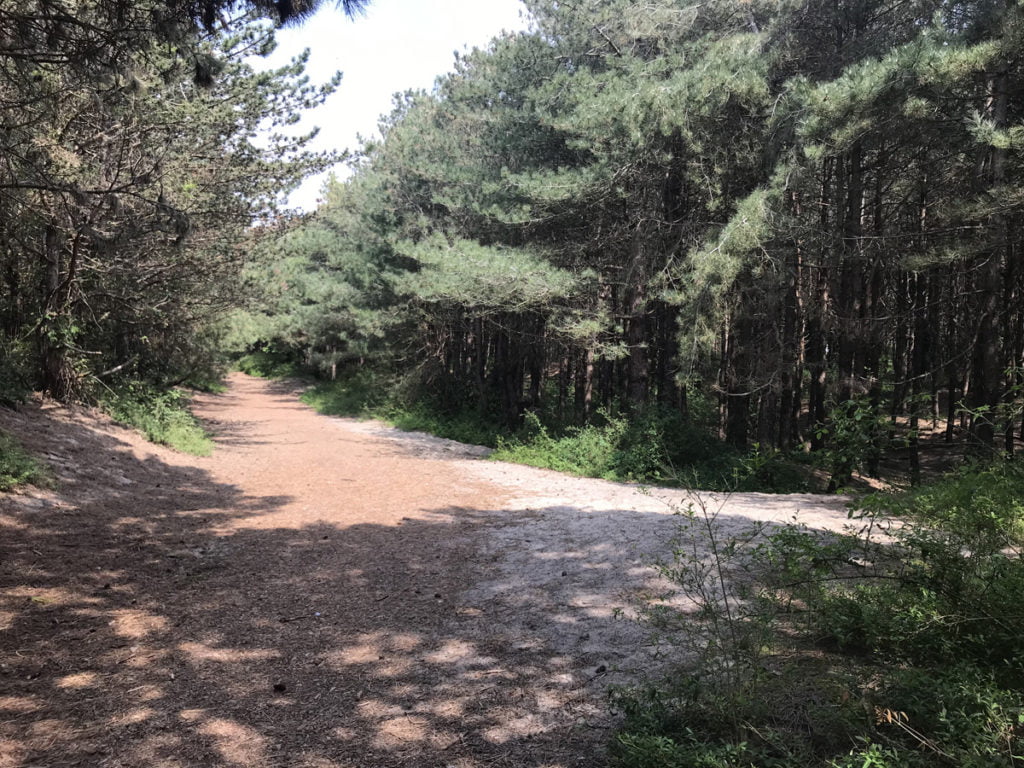 5 jours en famille sur la côte d’Opale 8 Les bois du Touquet Paris Plage