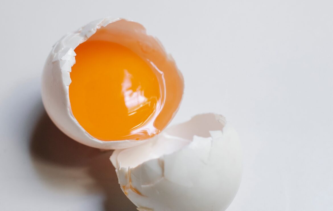 Allergie à l'oeuf