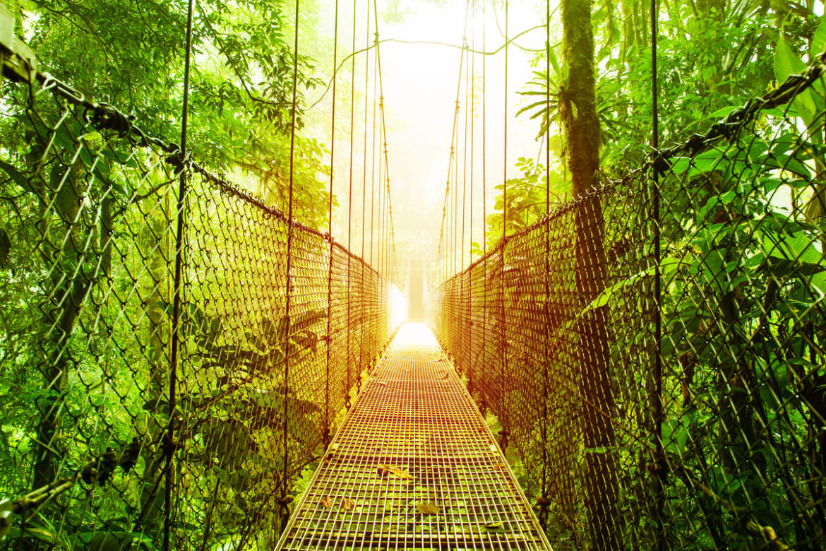 foret tropicale arenal au costa rica offrant des paysages extraordinaires pour des promenades en famille