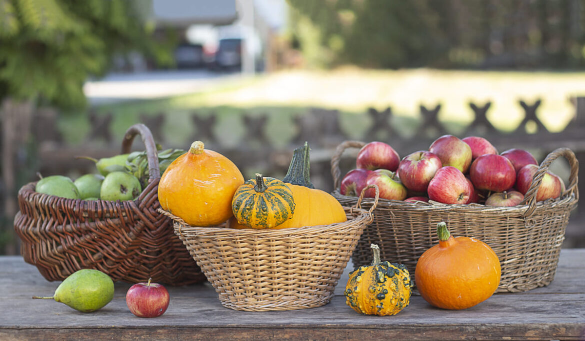 Image d'un assortiment coloré de fruits et légumes frais, incluant des pommes, carottes, courgettes, et tomates, disposés sur une table en bois rustique